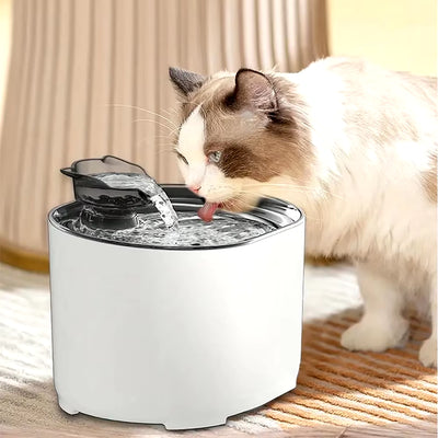 Cat Water Fountain Auto Recirculate Filtring Cats Dog Water Dispenser USB Electric